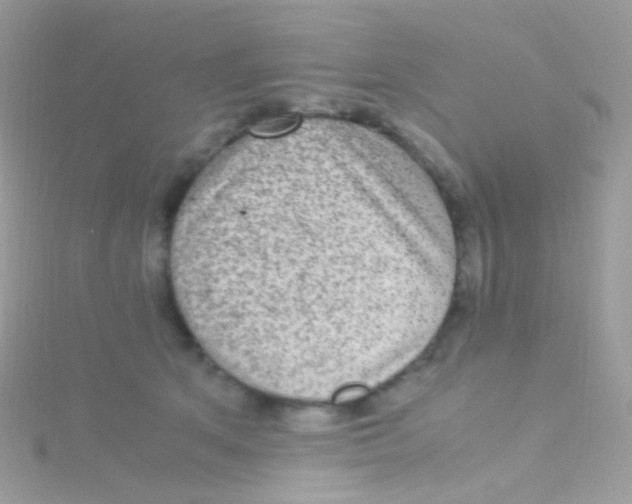 X0000115060513200911231217