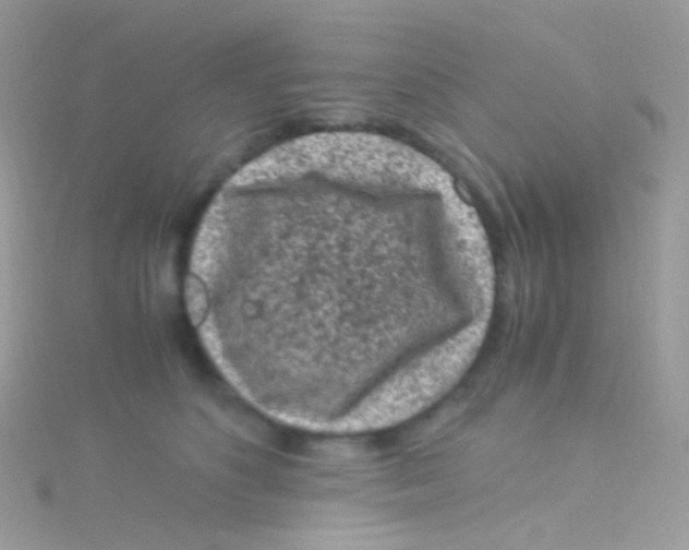 X0000115060516200911231217