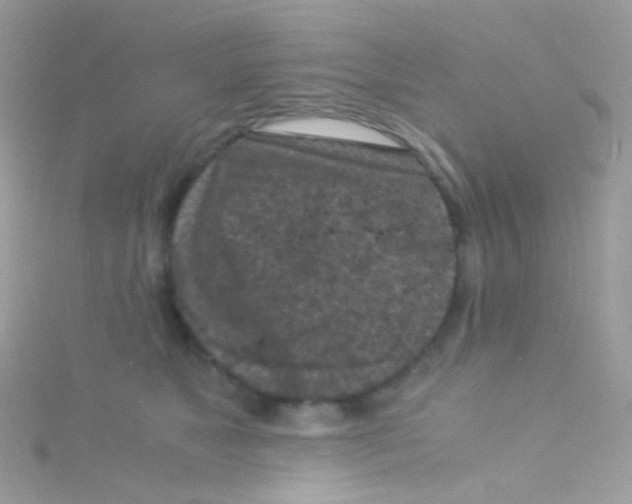 X0000115060517200911231217