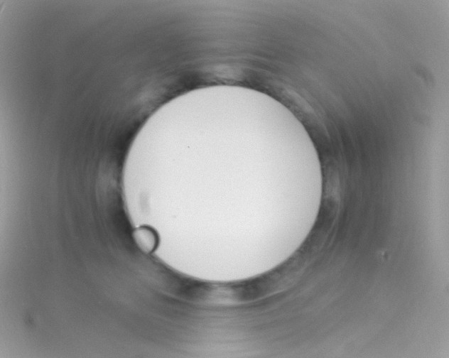 X0000115060518200911231217