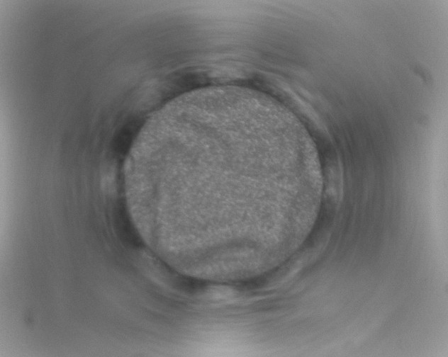 X0000115060519200911231217