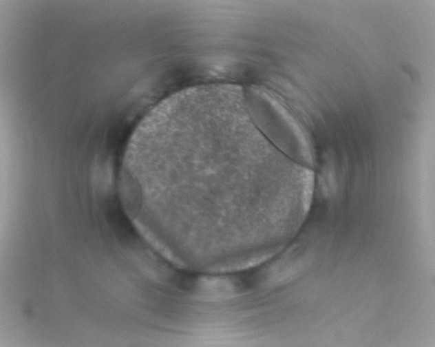 X0000115060520200911231217