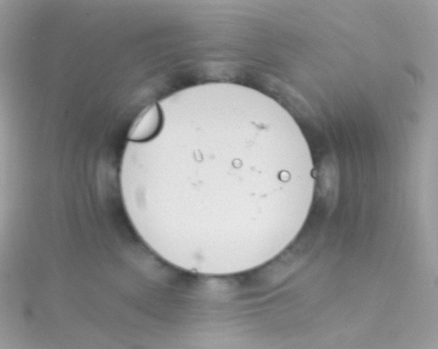 X0000115060522200911231217