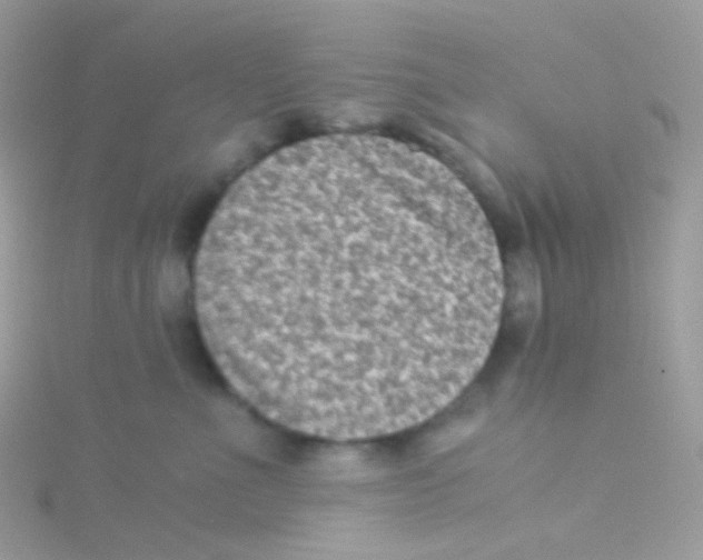 X0000115060523200911231217