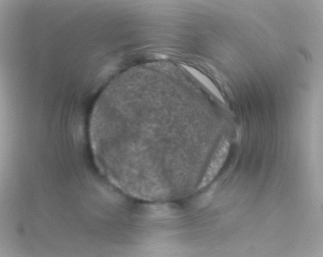 X0000115060524200911231217