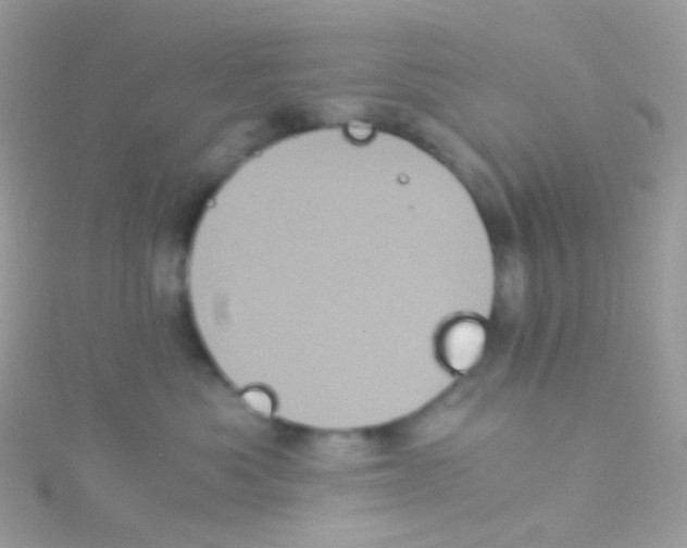 X0000115060525200911231217