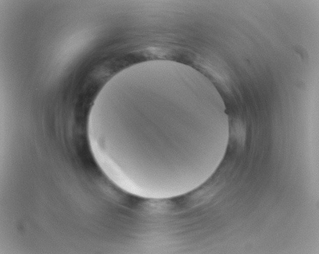 X0000115060526200911231217