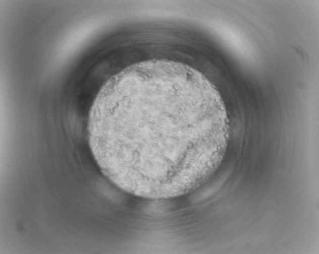 X0000115060527200911231217