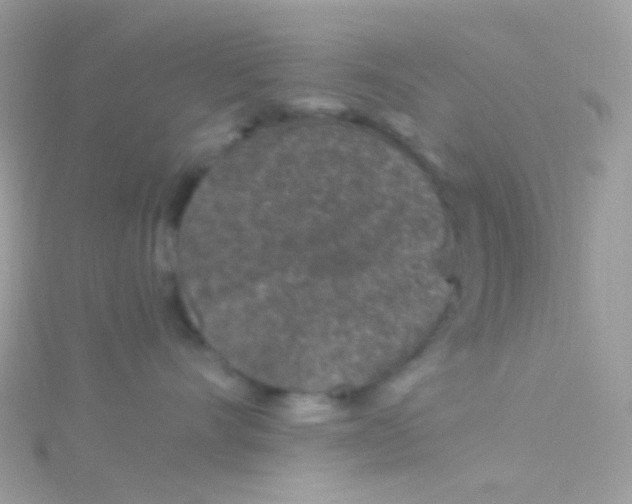 X0000115060528200911231217