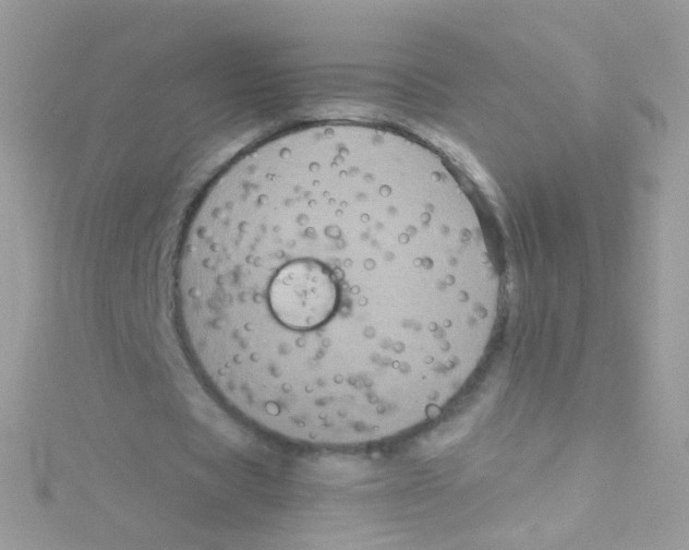 X0000115060529200911231217