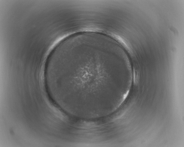 X0000115060531200911231217