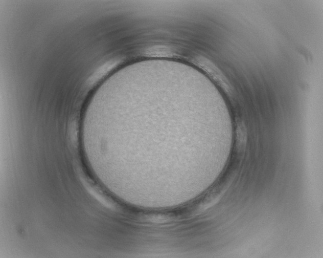 X0000115060533200911231217