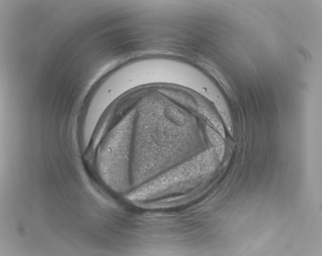 X0000115060534200911231217