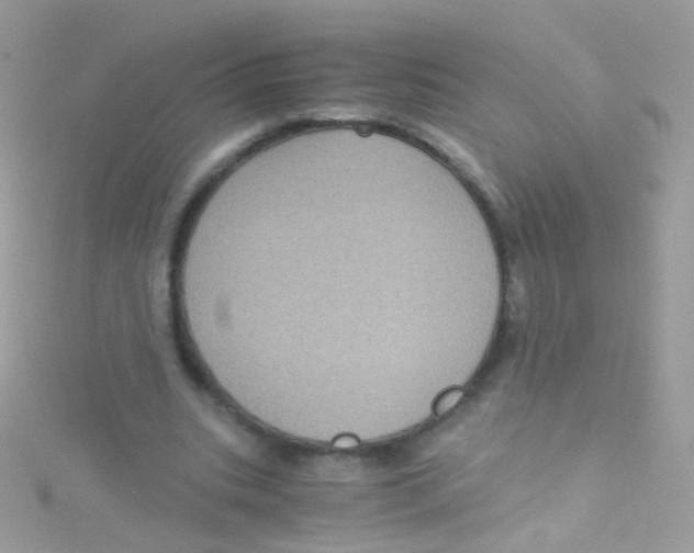 X0000115060535200911231217