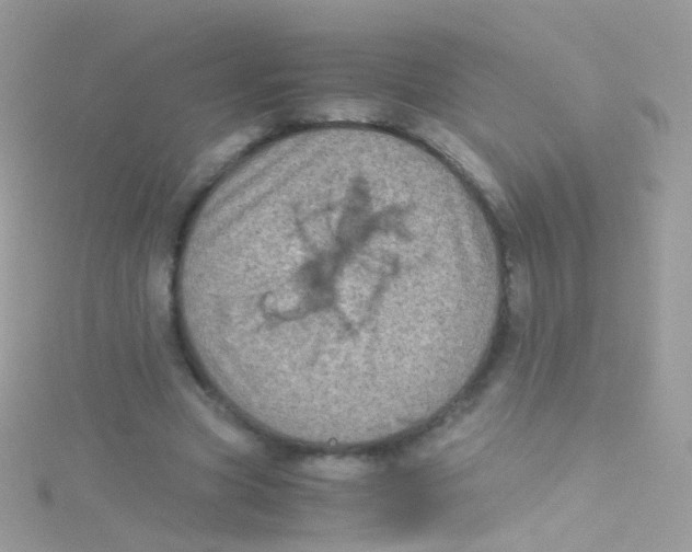 X0000115060537200911231217