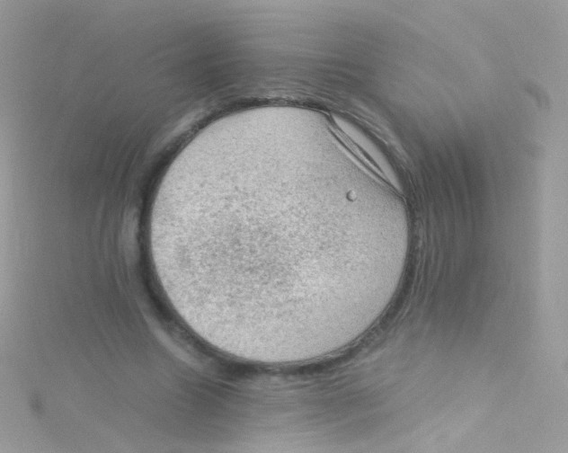 X0000115060538200911231217