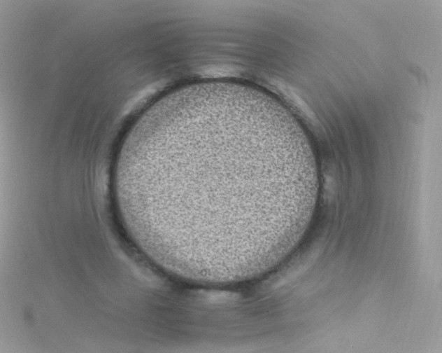 X0000115060539200911231217