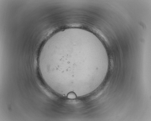 X0000115060541200911231217