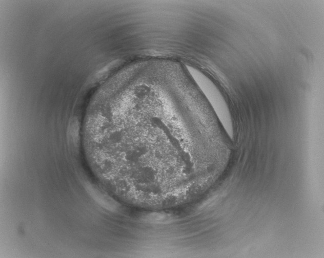 X0000115060542200911231217