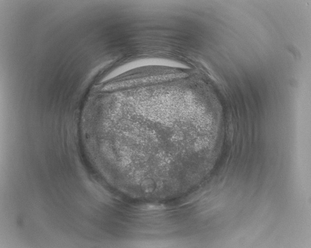 X0000115060543200911231217