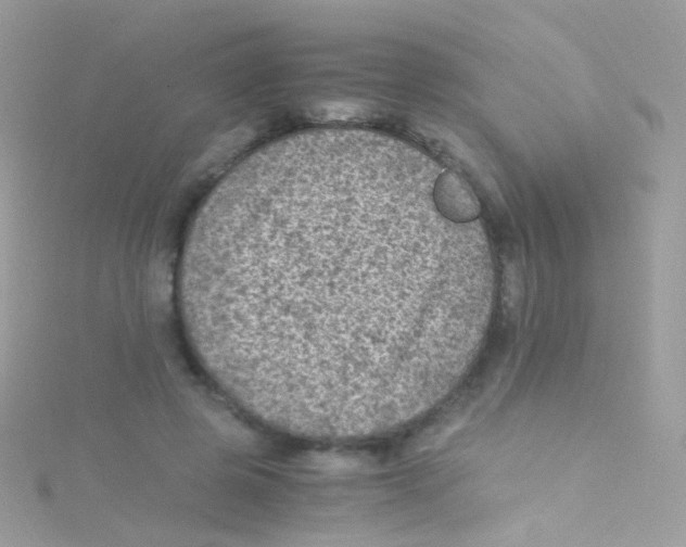 X0000115060545200911231217