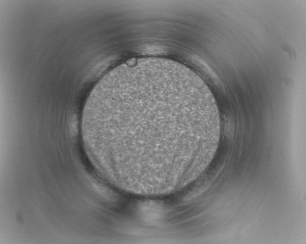 X0000115060549200911231217