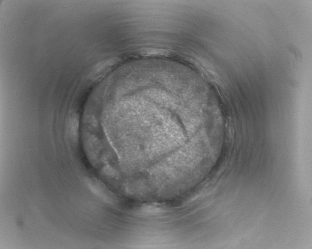 X0000115060550200911231217