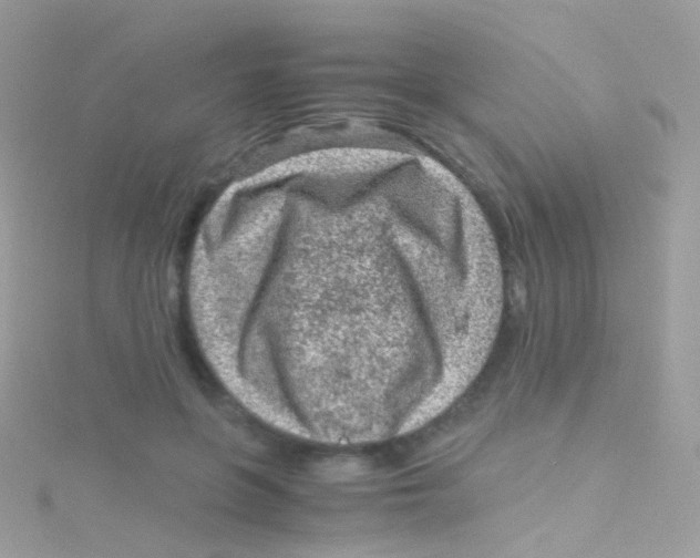 X0000115060551200911231217