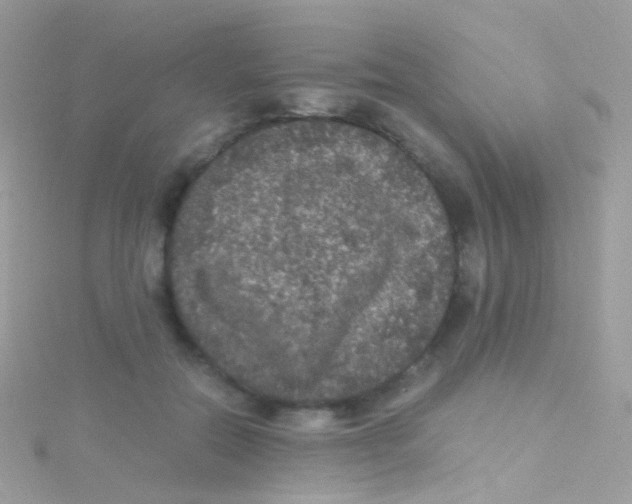 X0000115060554200911231217