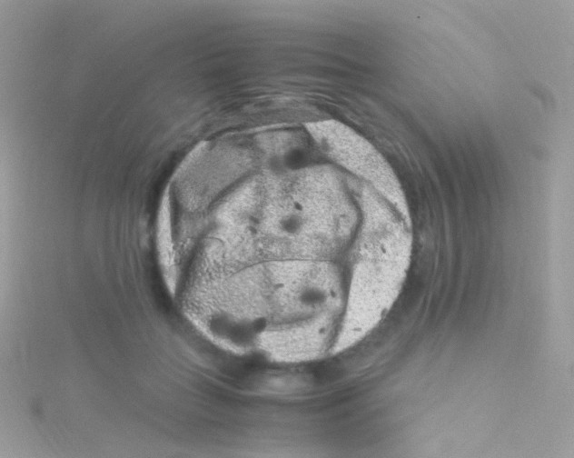 X0000115060555200911231217