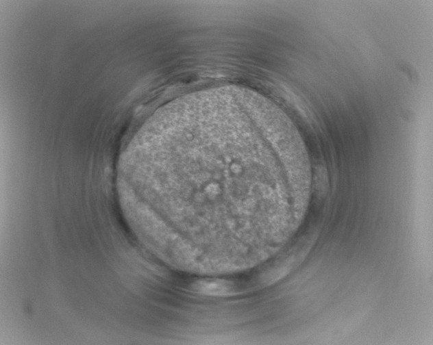 X0000115060557200911231217