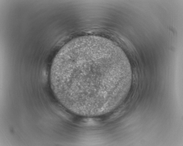 X0000115060558200911231217