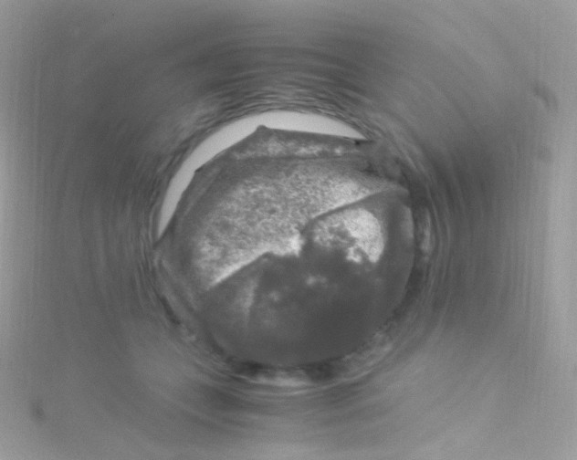 X0000115060559200911231217