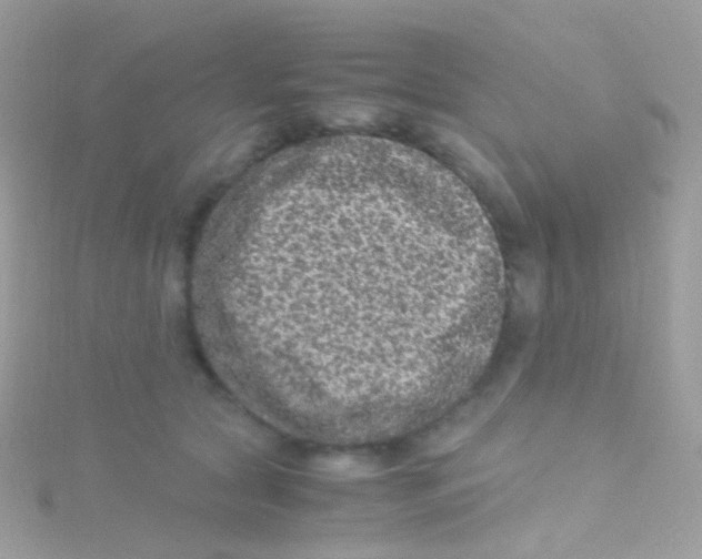 X0000115060561200911231217