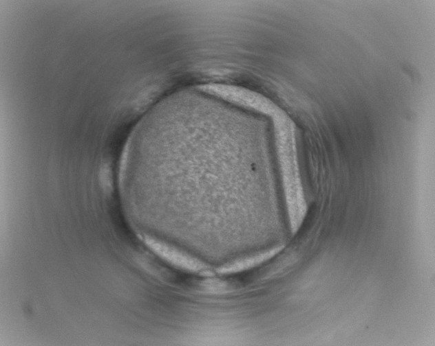 X0000115060562200911231217