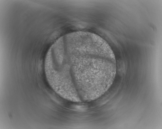 X0000115060563200911231217