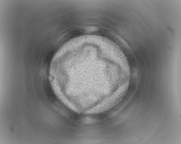 X0000115060565200911231217