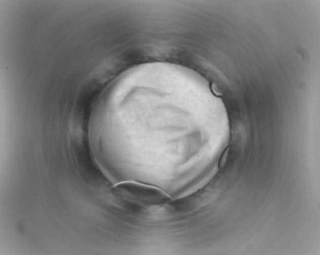 X0000115060566200911231217