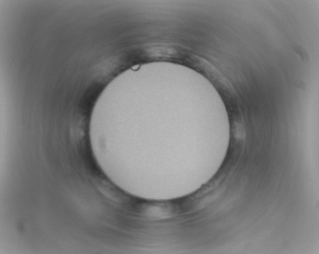 X0000115060567200911231217