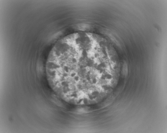 X0000115060569200911231217