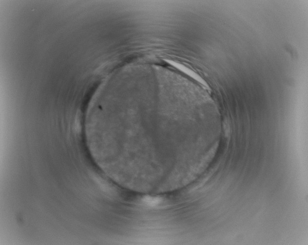 X0000115060570200911231217