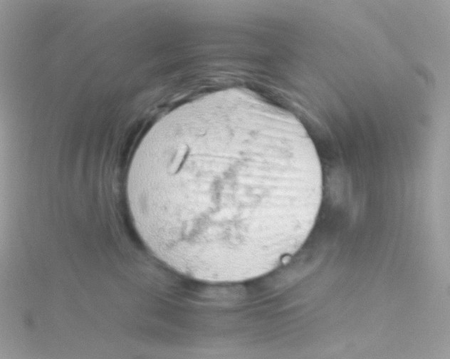 X0000115060571200911231217