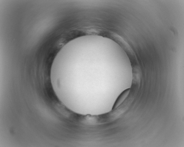 X0000115060573200911231217