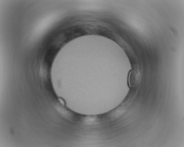 X0000115060574200911231217