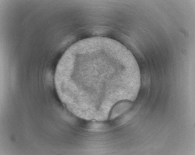 X0000115060575200911231217