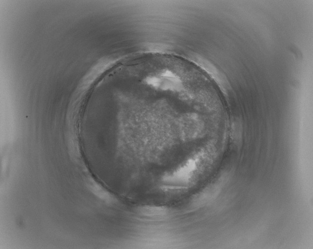 X0000115060577200911231216