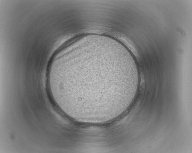 X0000115060578200911231216