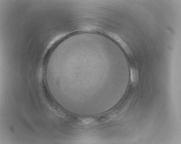 X0000115060579200911231216