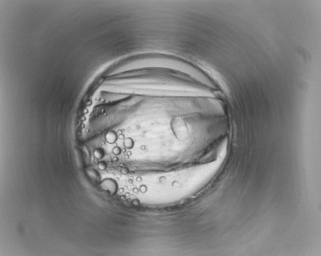 X0000115060580200911231216