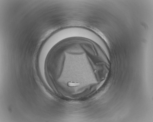 X0000115060581200911231216